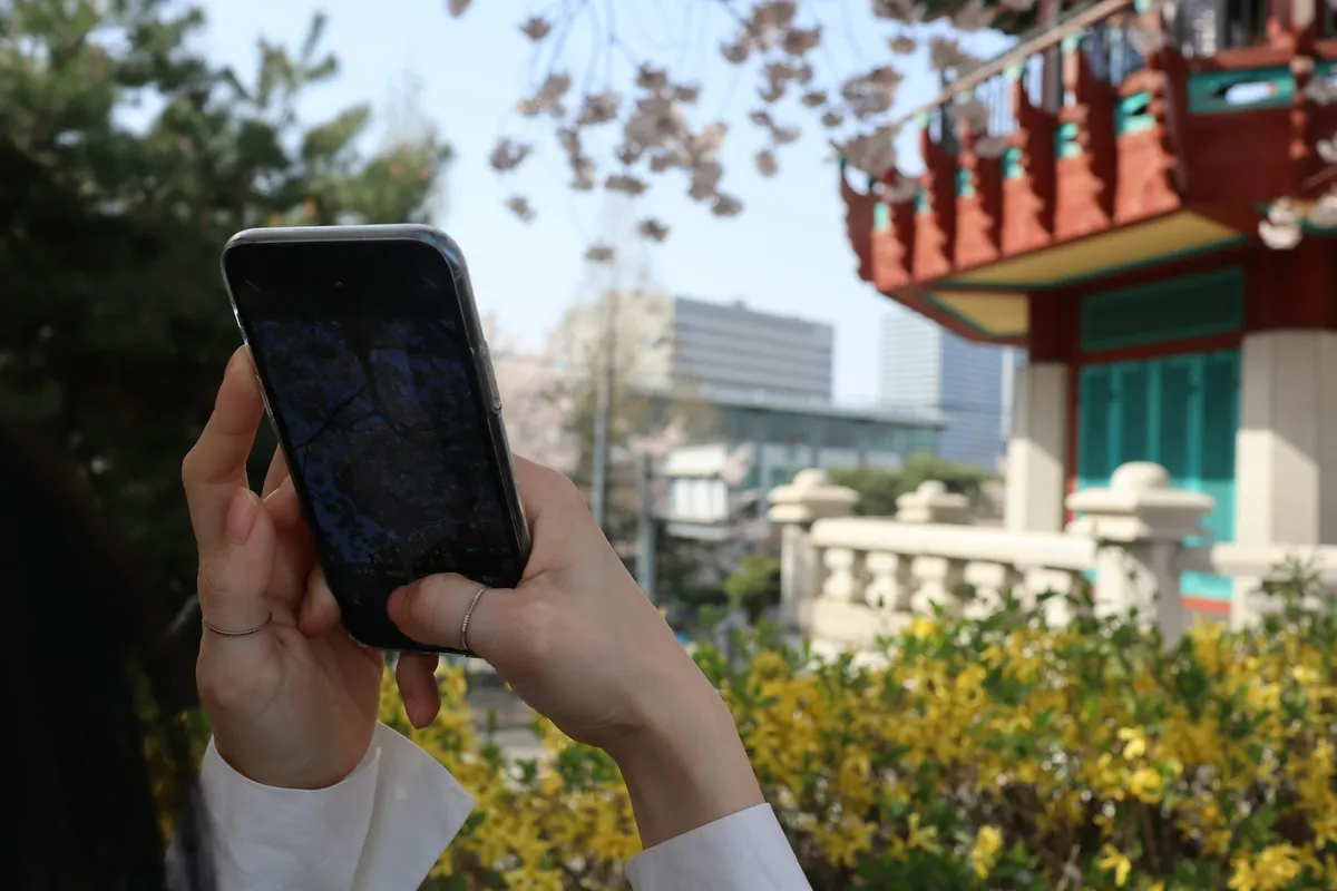 Best Korea Travel Data Guide: eSIM vs. SIM Card vs. Pocket Wi-Fi