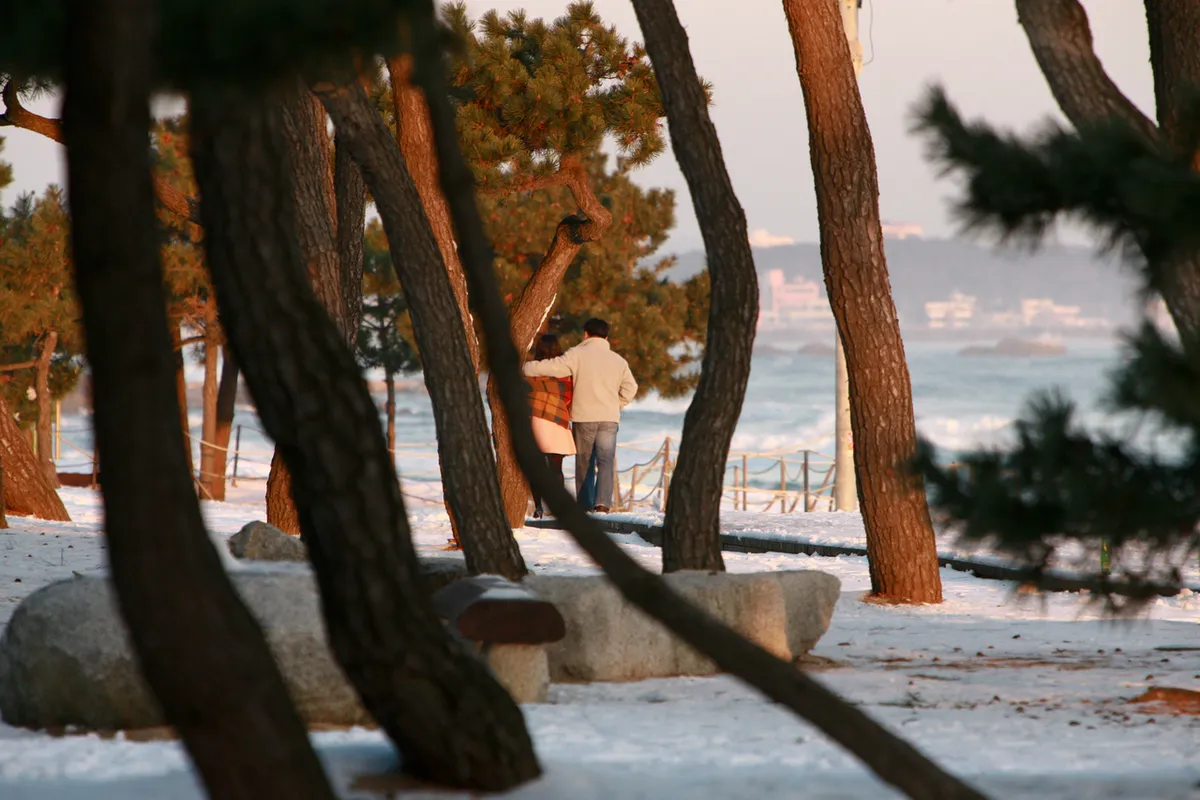 Gyeongpo Beach area in Gangneung stay guide