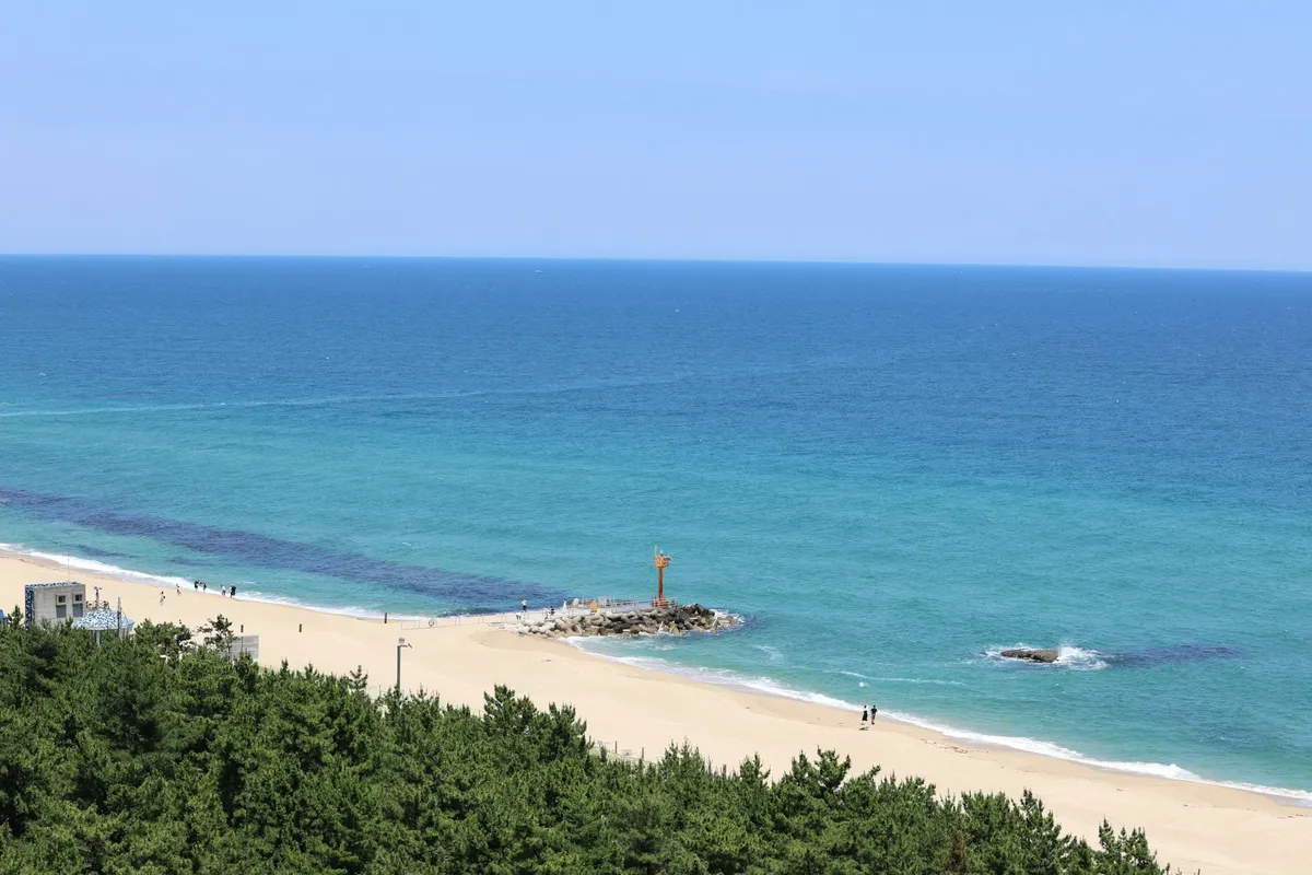 Best Hotels in Gangneung Beach & City