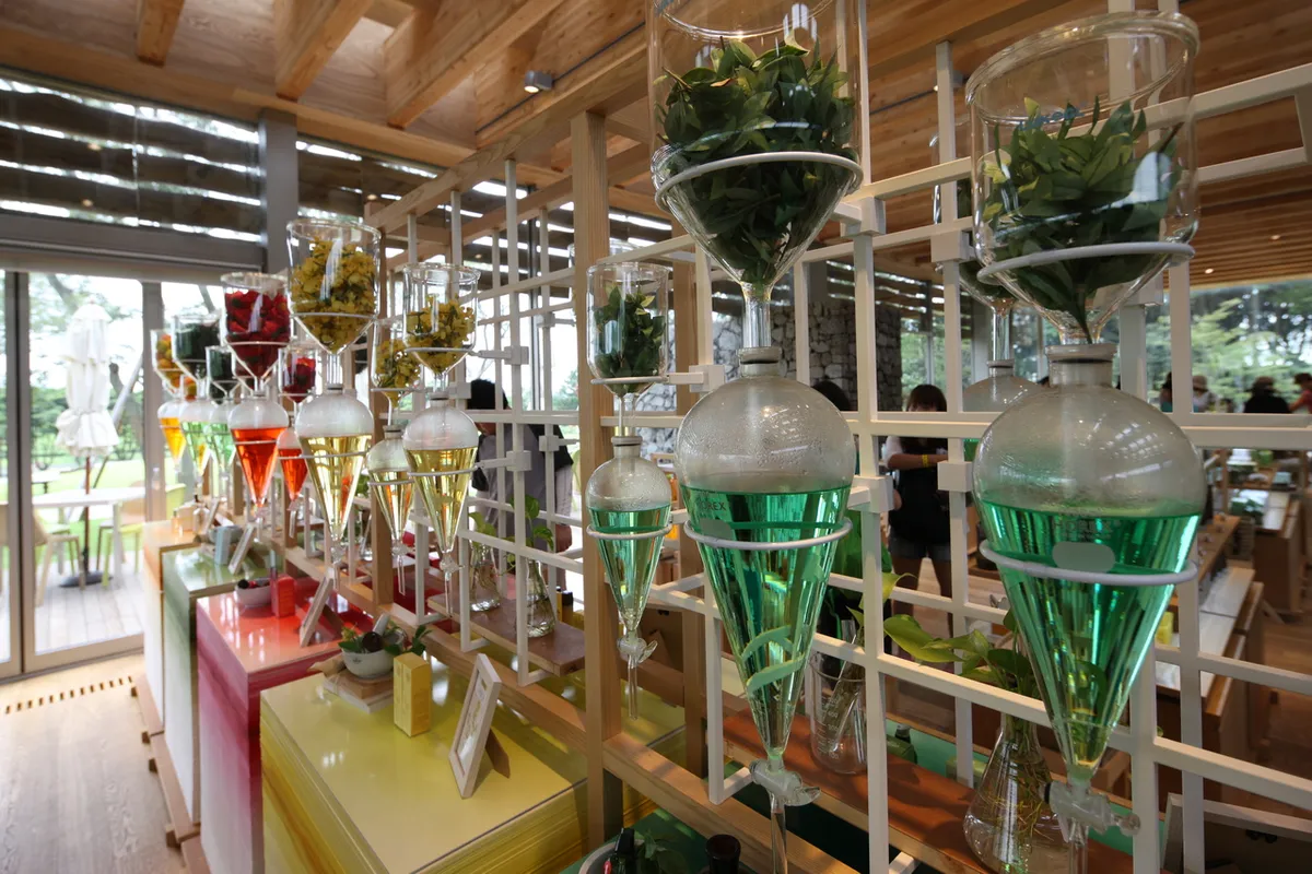 Cosmetic products and display shelves at Innisfree Jeju House for Korea beauty shopping