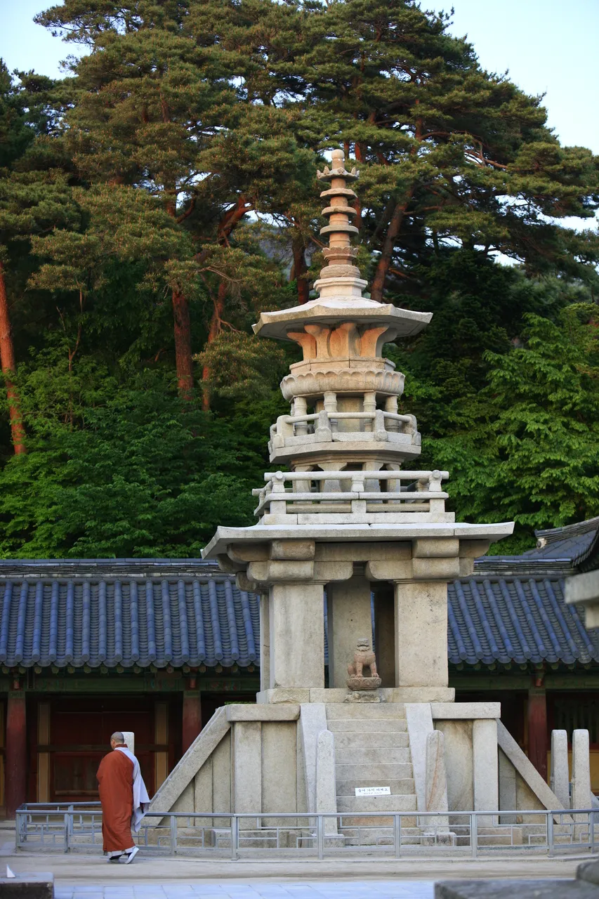 Stone pagoda and pine trees at Bulguksa Temple in Gyeongju