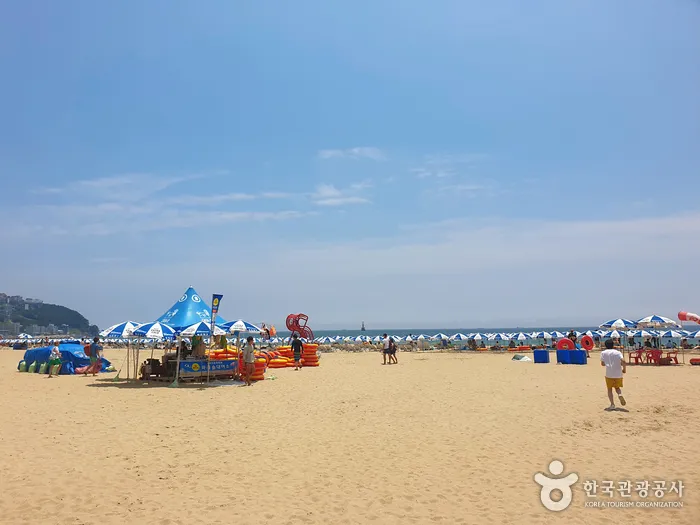 Haeundae Beach shoreline and sand for Busan coastal sights