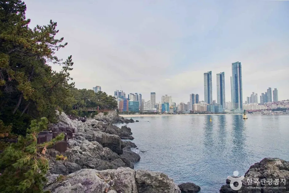 Walking path and sea view at Dongbaekseom Island in Busan