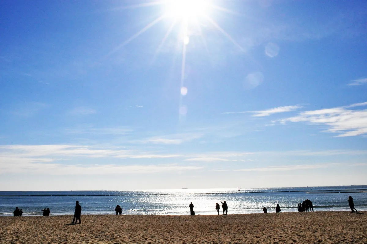 Busan Coastal Sights & Beaches - 9