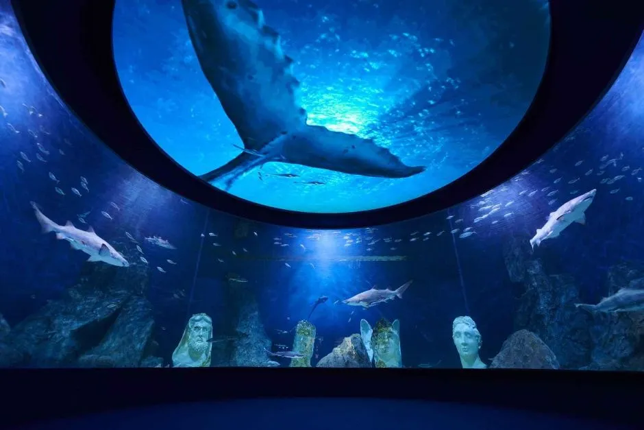 Interior aquarium tanks at Daejeon Expo Aquarium