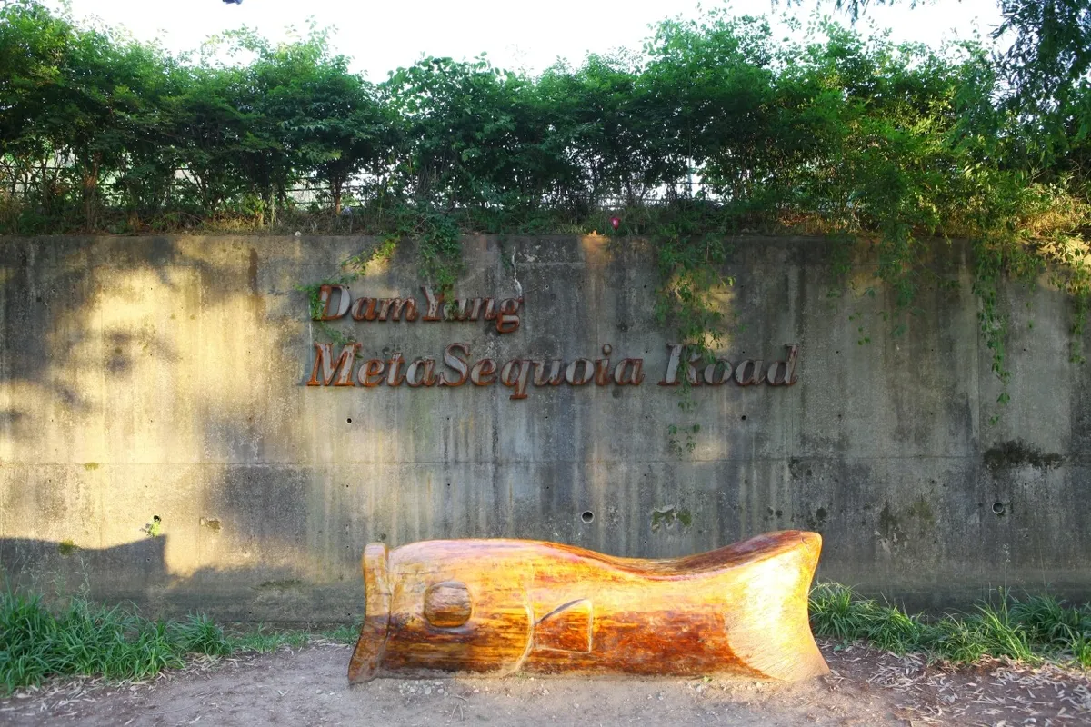 Stone entrance sign and log bench at Damyang Metasequoia Road