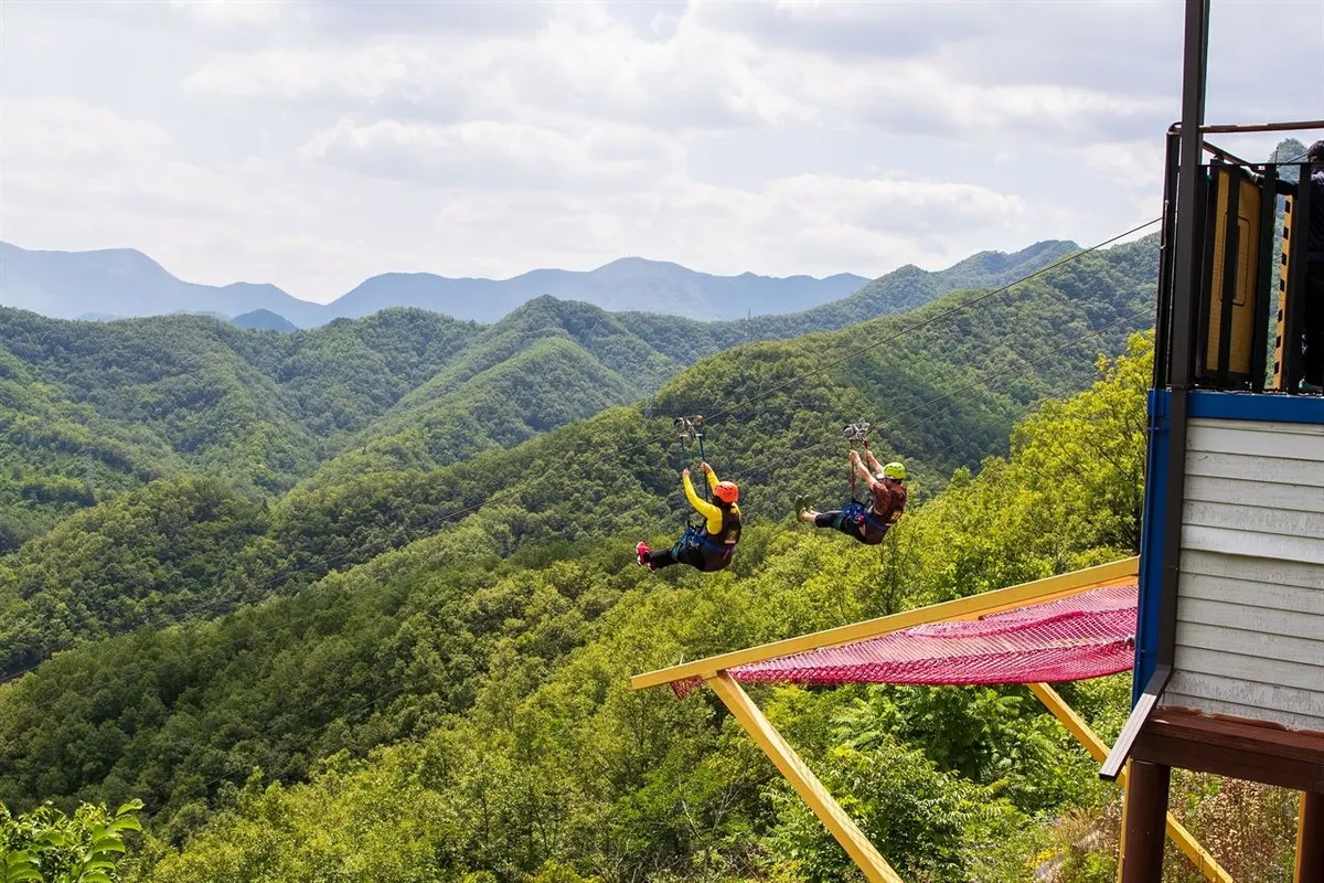 Riders descending on the Mancheonha Zipwire above forested slopes in Danyang
