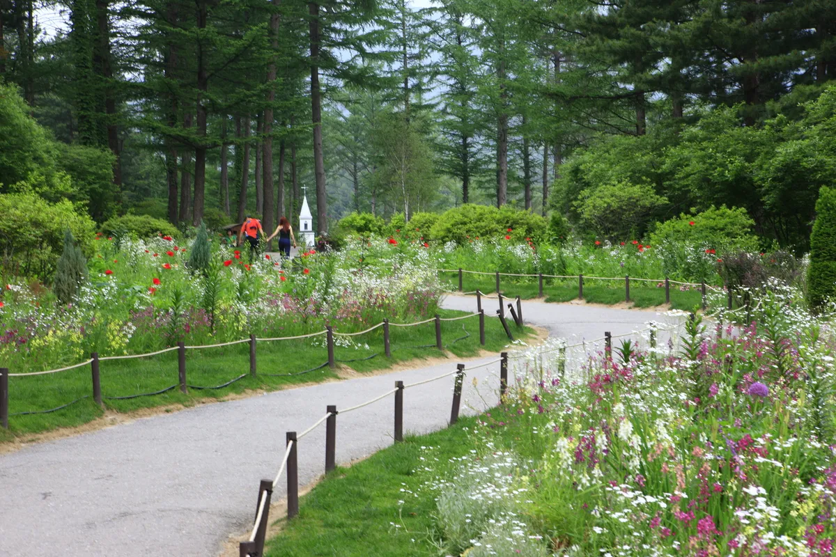 Garden path and planted beds at The Garden of Morning Calm near Seoul