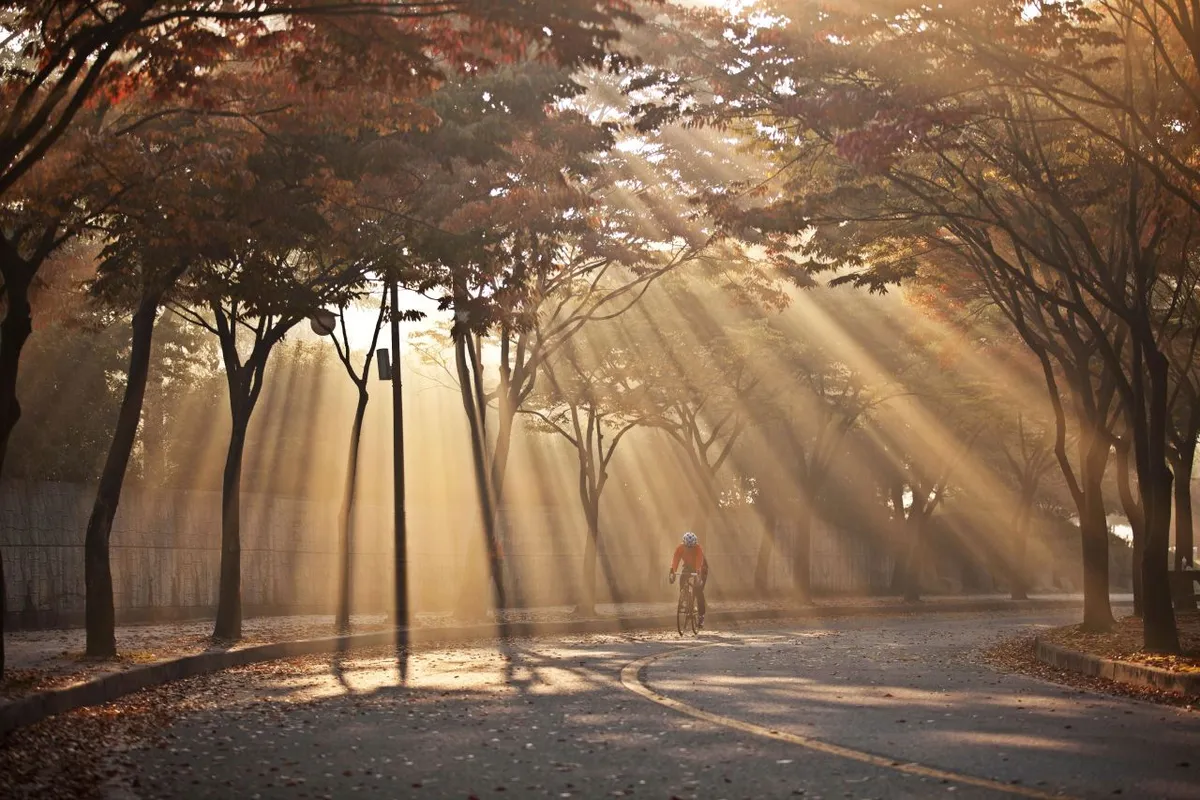 Morning cycling path in Incheon Grand Park near Seoul in autumn