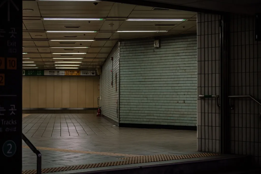 Subway platform doors in Seoul transport guide