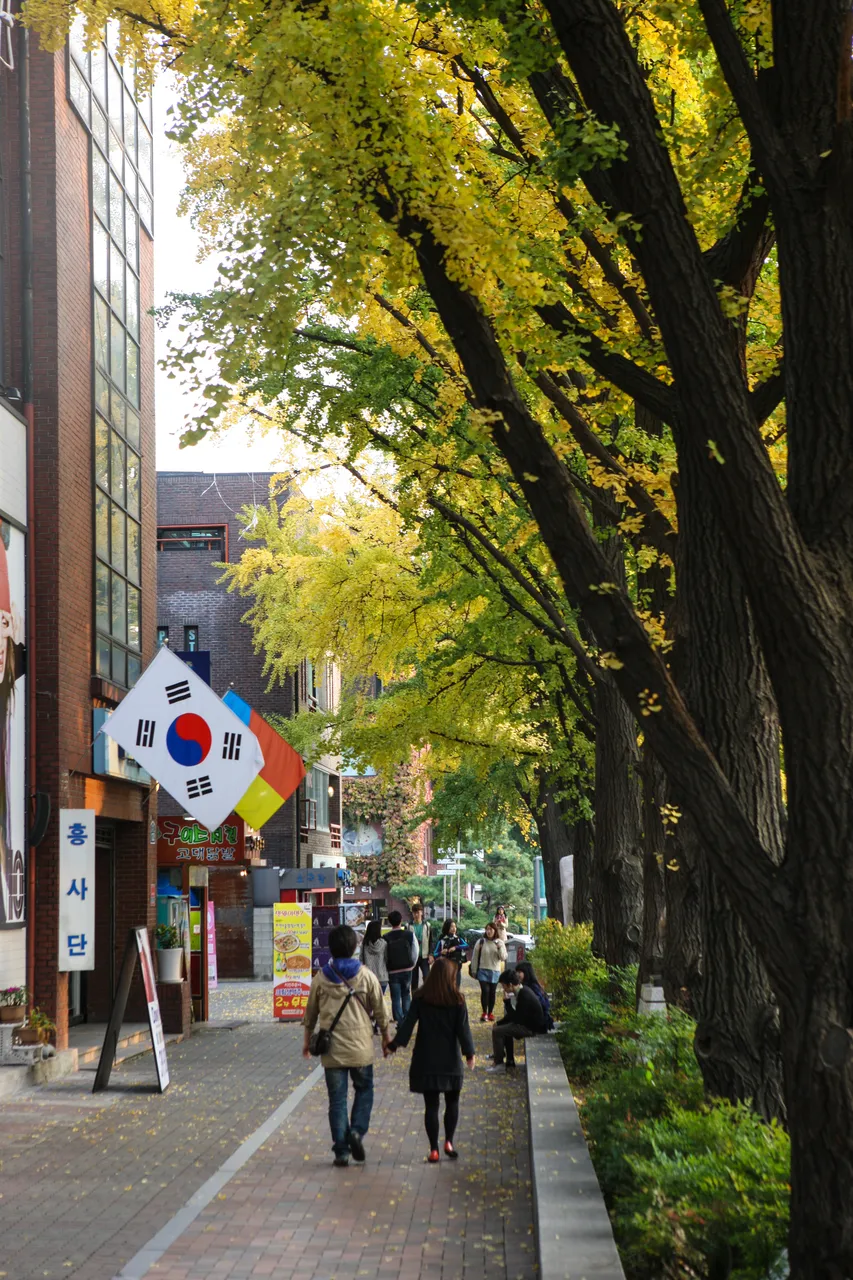 Pedestrians beneath yellow-leaved trees along a Daehangno sidewalk in Hyehwa