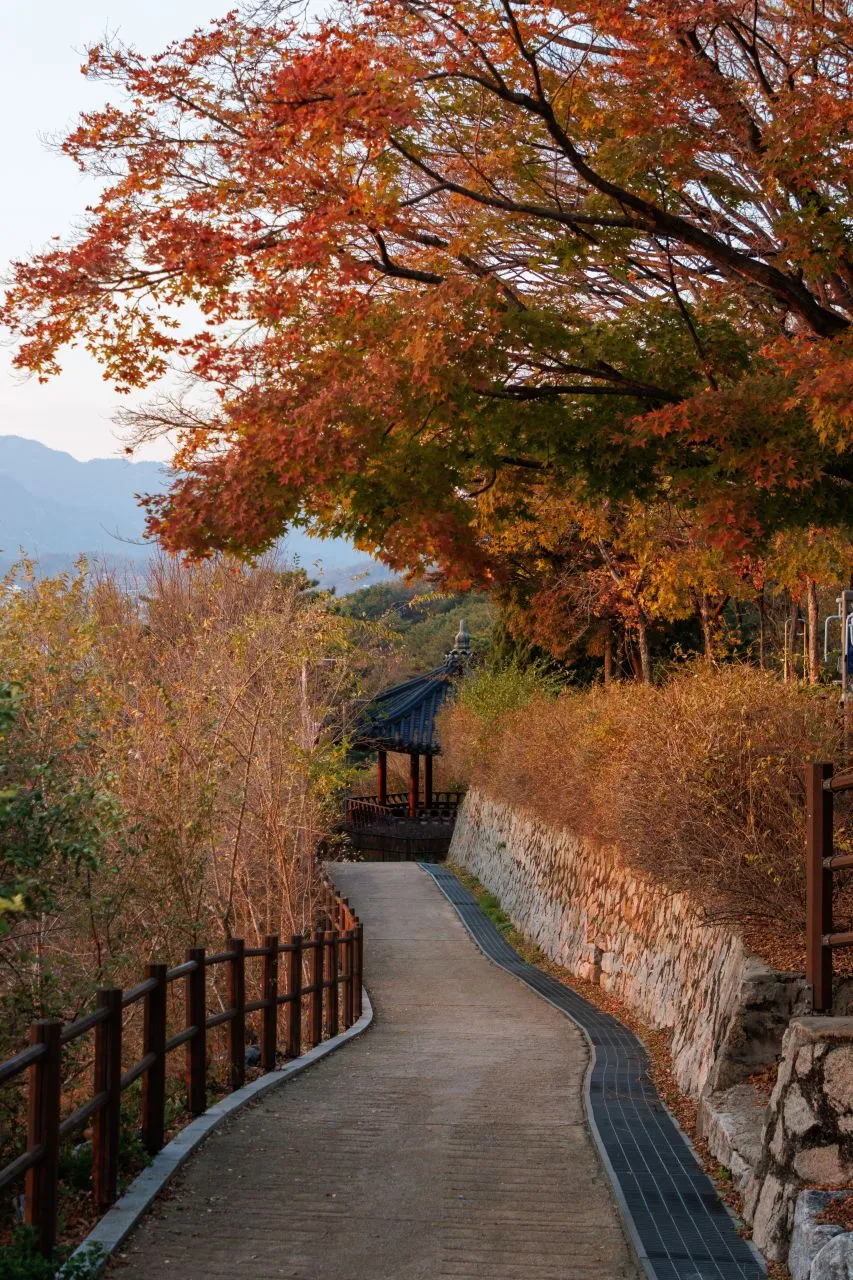Paved path between a railing and low stone wall beneath autumn foliage in Dongsung-dong