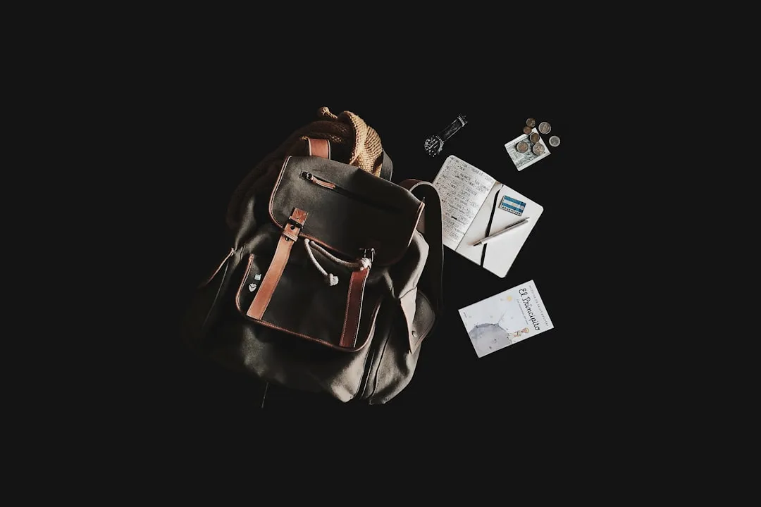 Travel packing layout for Korea customs declaration guide