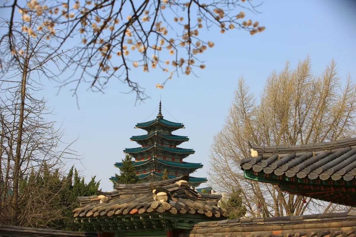 National Folk Museum and spring trees near Gyeongbokgung for Korea public holidays 2026