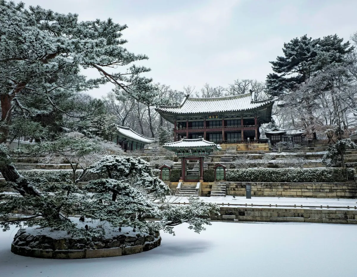 Snow-covered trees and pavilion at Changdeokgung Palace during winter weather in Seoul