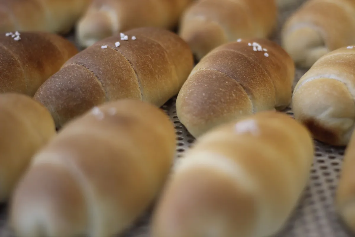 Korean Cafe Bakery Guide: Salt Bread