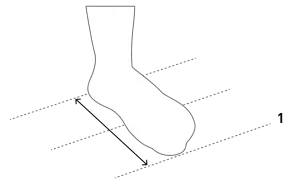 Adidas foot illustration with an arrow marking heel-to-toe length for shoe sizing