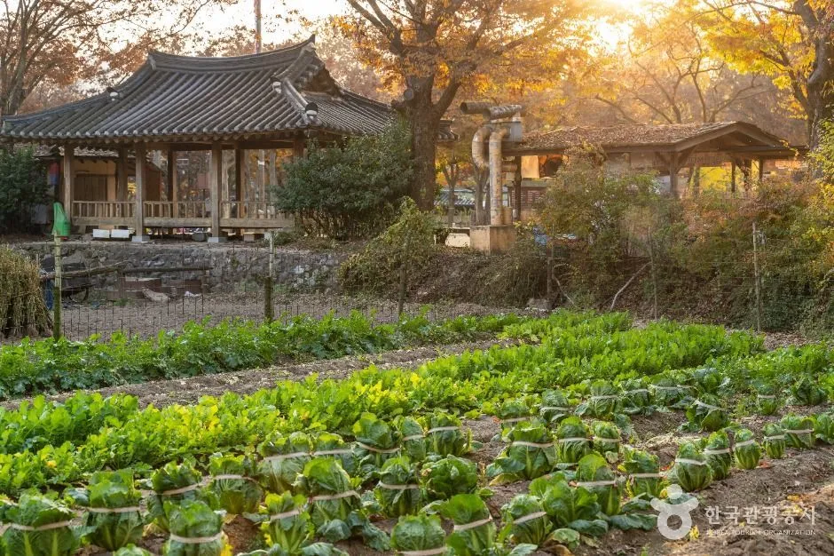 Korean Folk Village Visitor Guide