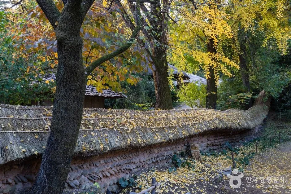 Straw-capped earthen wall beneath autumn trees in the village