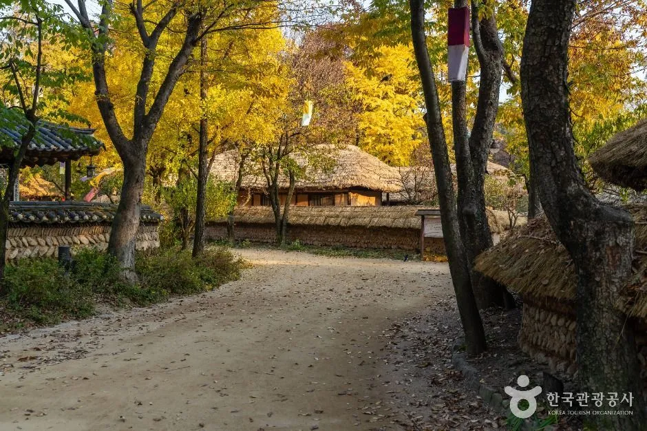 Village path between autumn trees and straw-capped walls