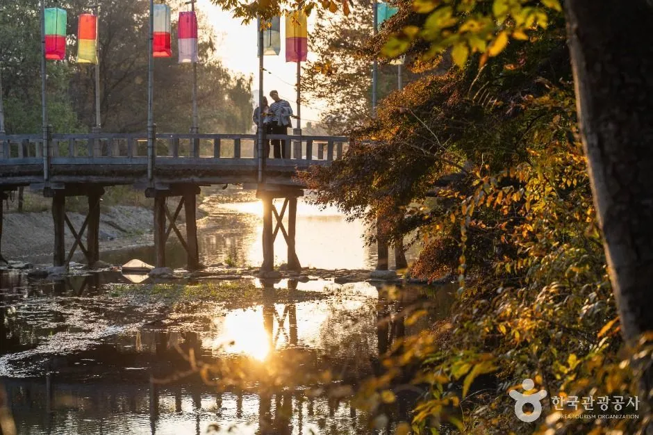 Wooden footbridge crossing water beside autumn trees in the village