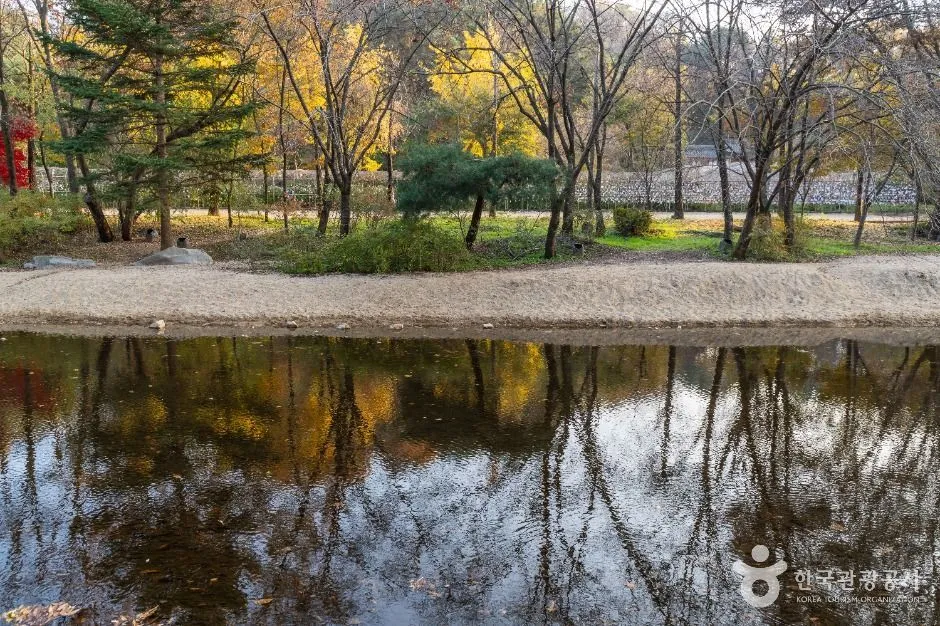 Autumn trees and a village path reflected in still water