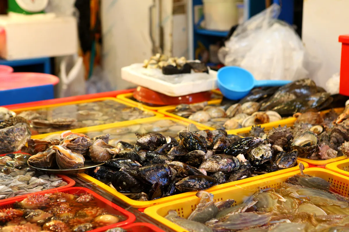 Seafood market display at Jagalchi Market for a Korean seafood guide