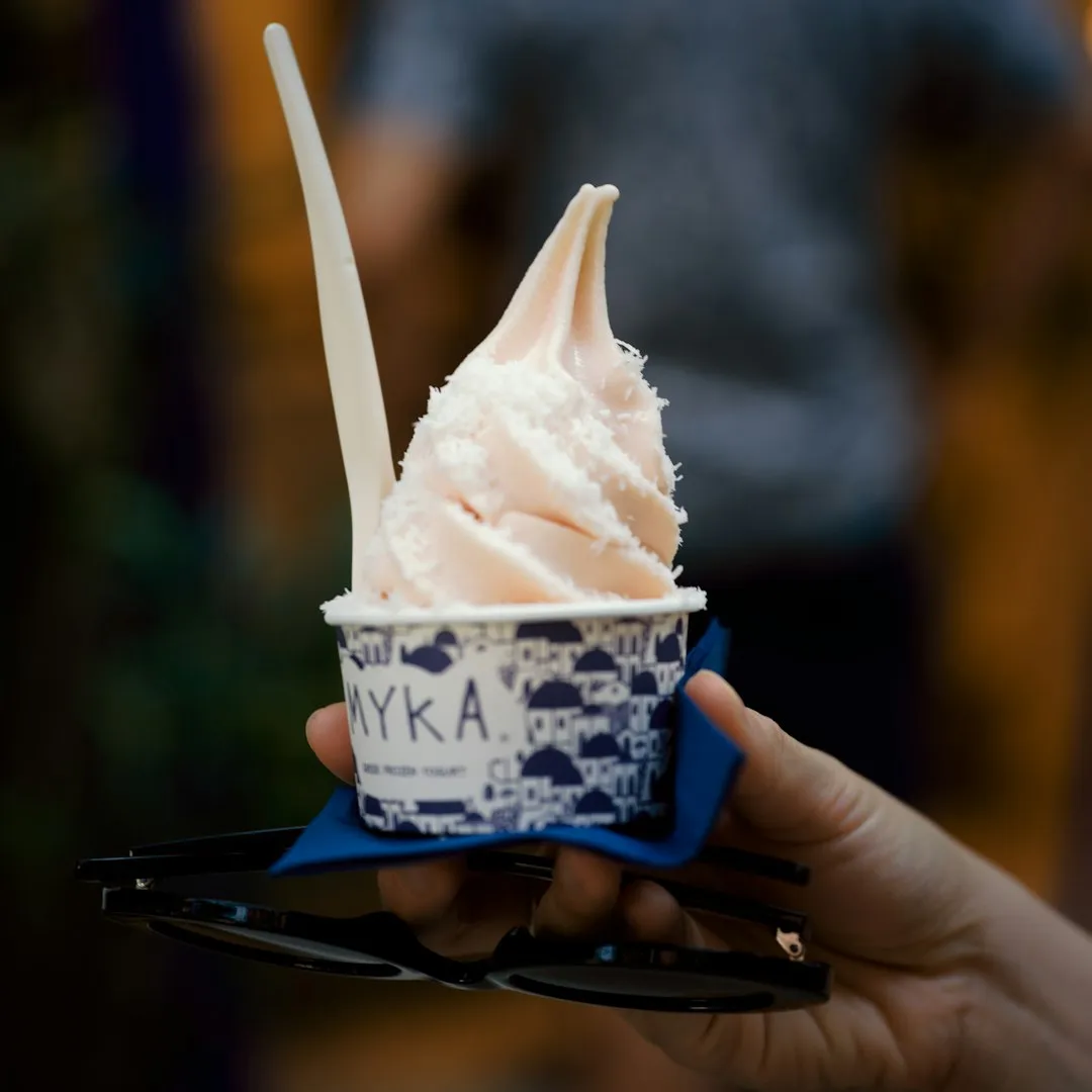 Korean Yogurt Ice Cream: Yoajung