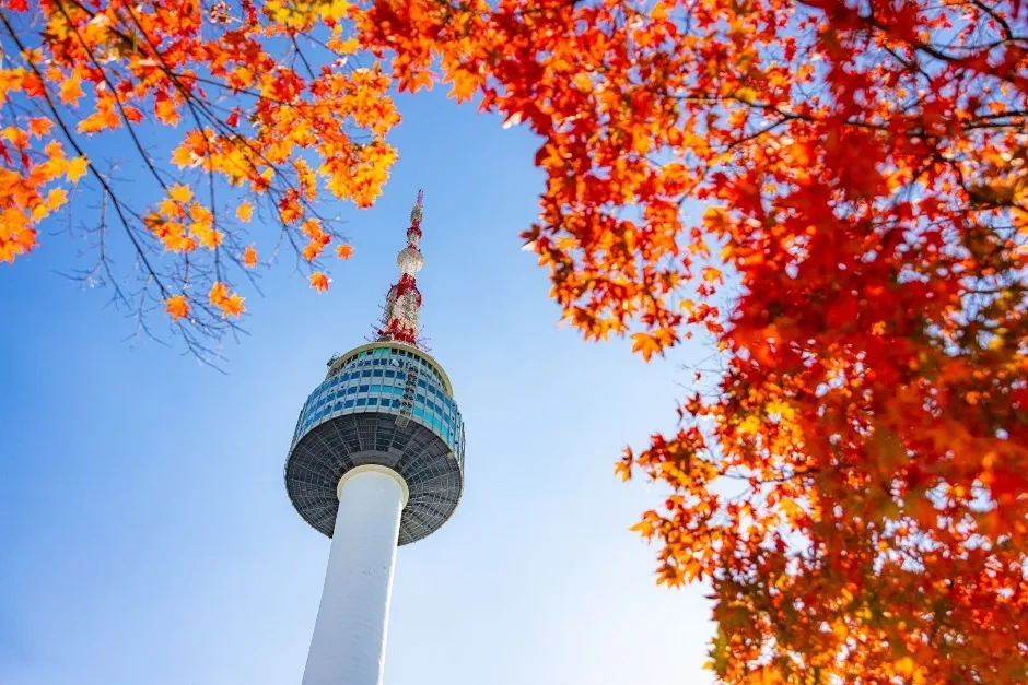 N Seoul Tower framed by red autumn leaves on Namsan