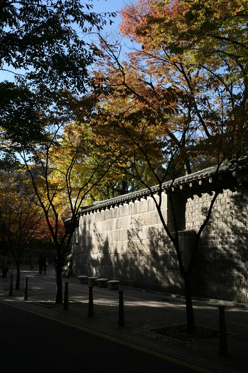 Tree-lined walkway beside the tiled stone wall of Deoksugung Palace