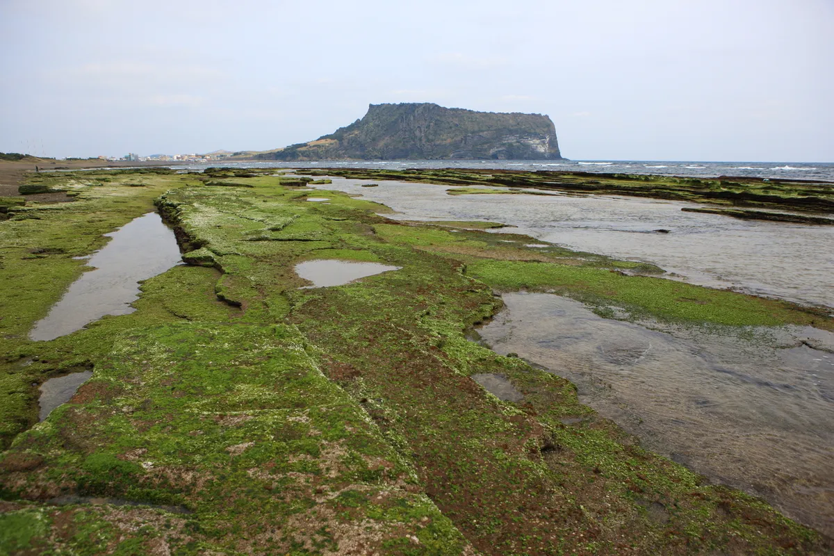 Gwangchigi Beach tidal rock flats with the tuff cone in the background