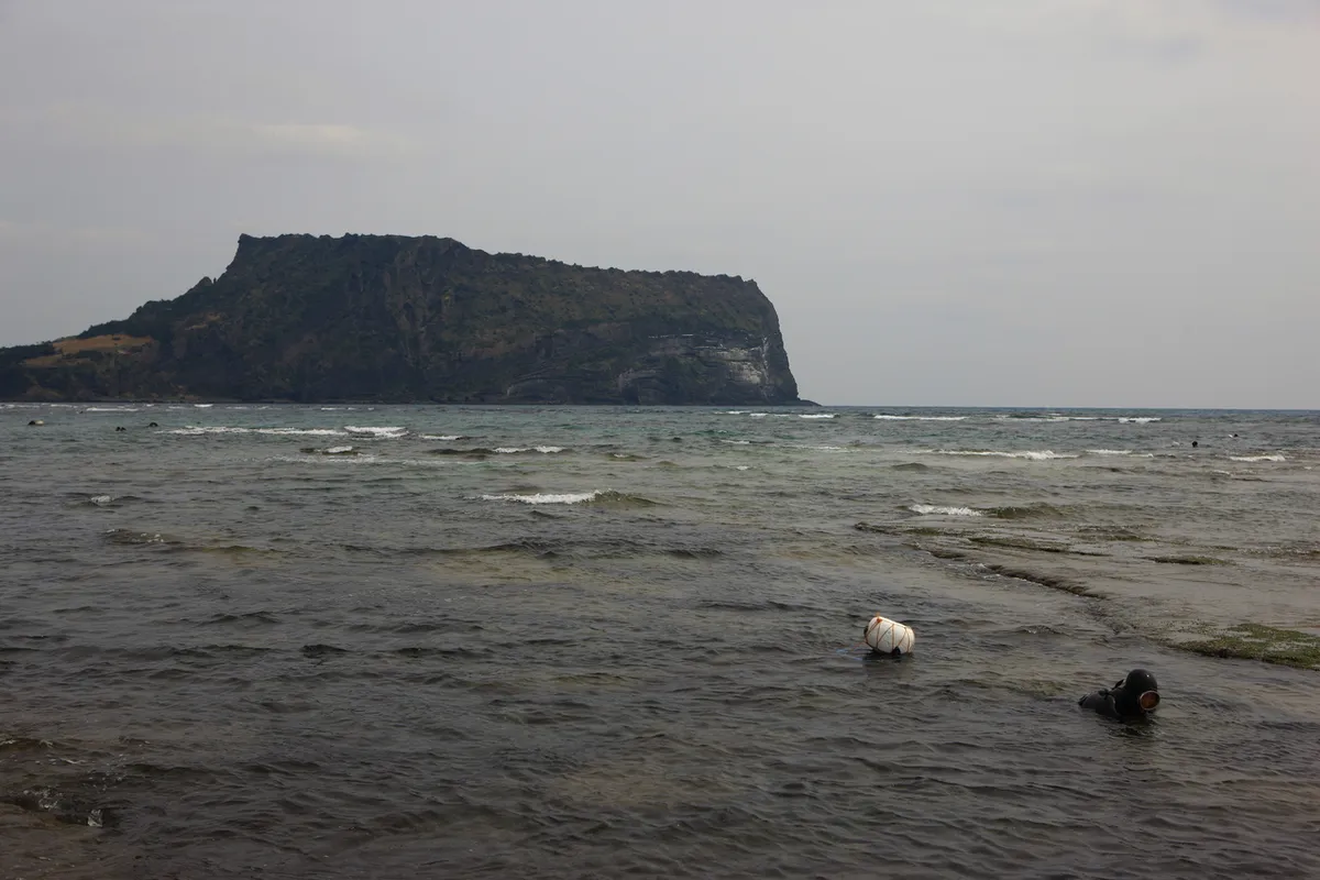 Jeju haenyeo diver in shallow water near Seongsan Ilchulbong