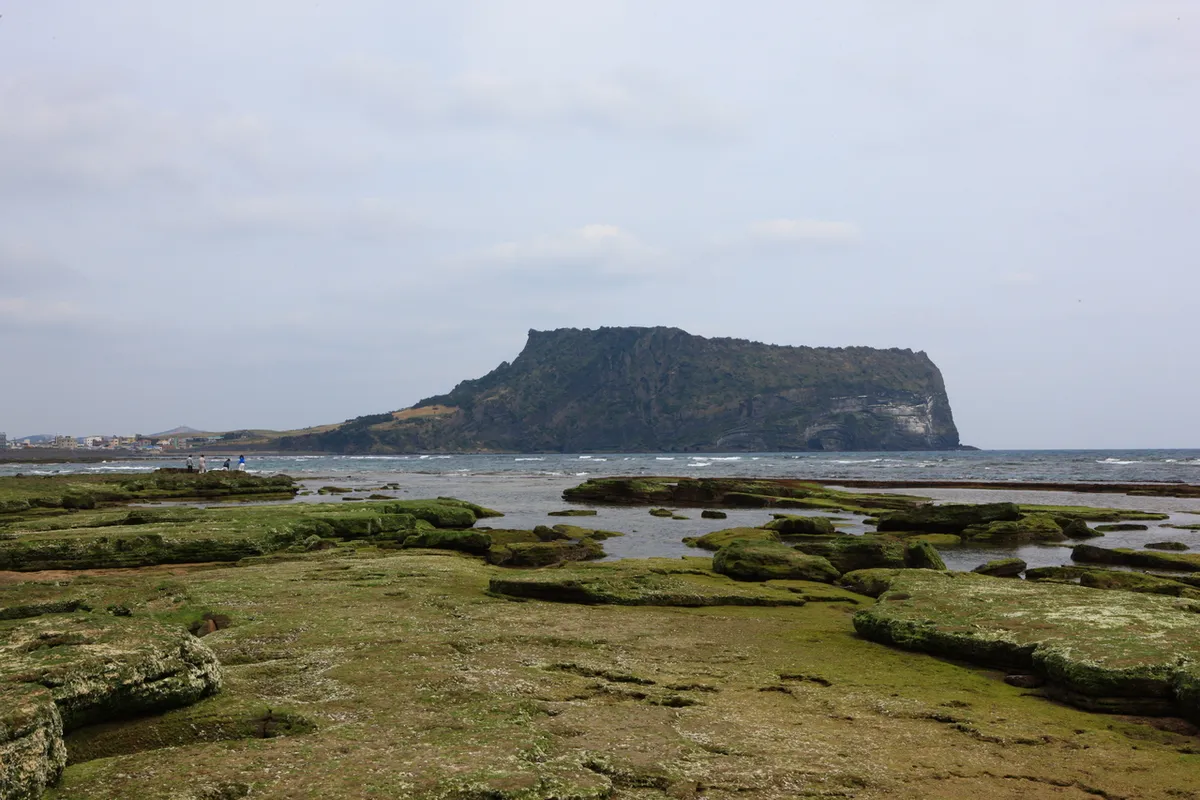 Layered green coastal rocks and shallow pools near Seongsan Ilchulbong on Jeju Island