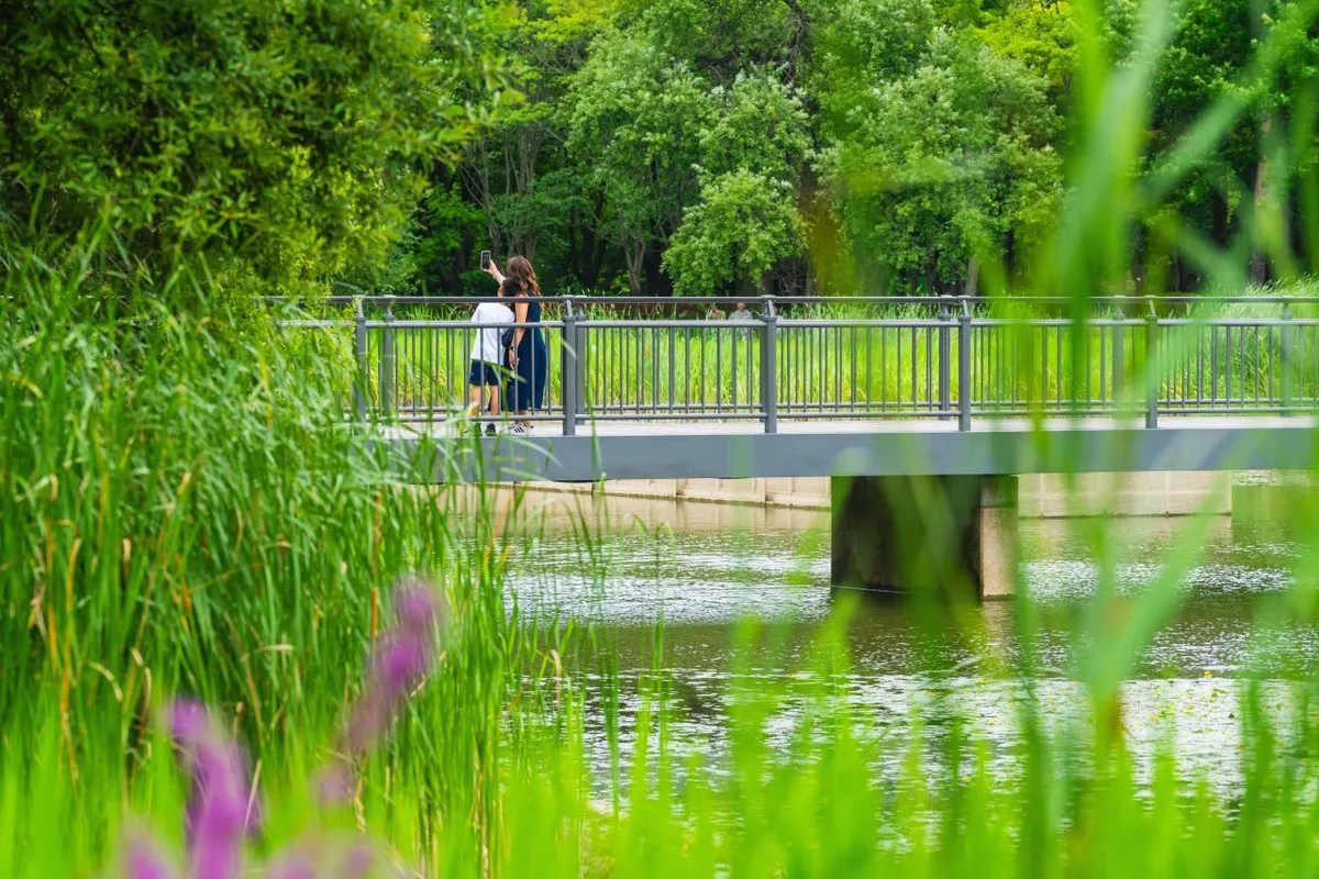 Visitors on a pedestrian bridge over a pond at Seoul Forest in Seongdong-gu