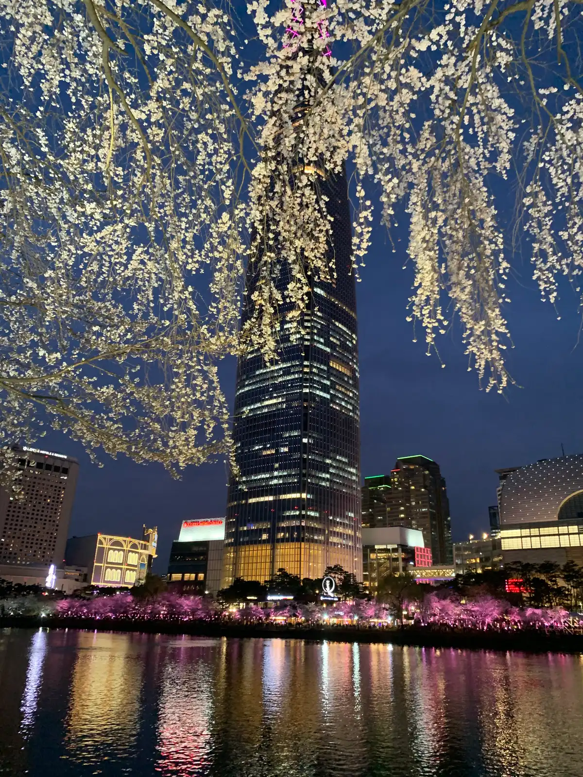 Seoul Cherry Blossoms: Best Lotte World Tower Night Views at Seokchon Lake - 5