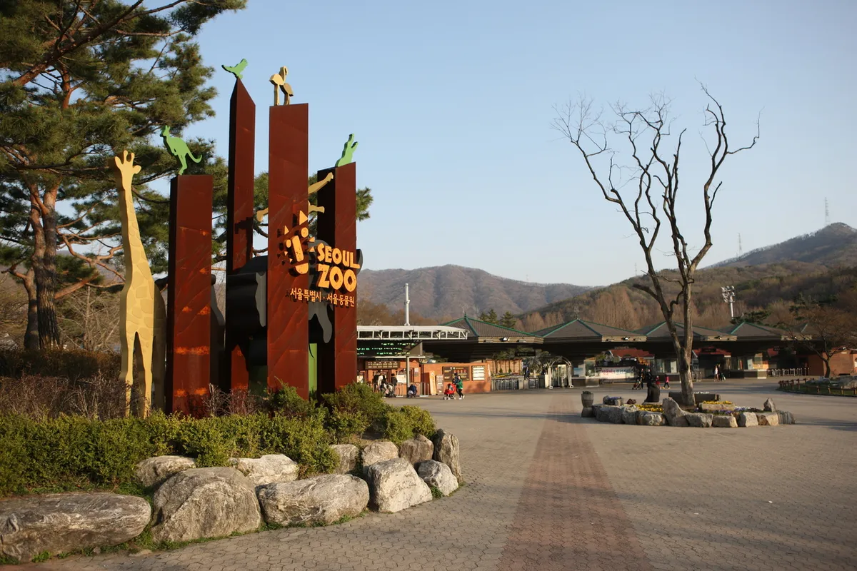 Zoo entrance structures beside a paved approach at Seoul Grand Park in Gwacheon