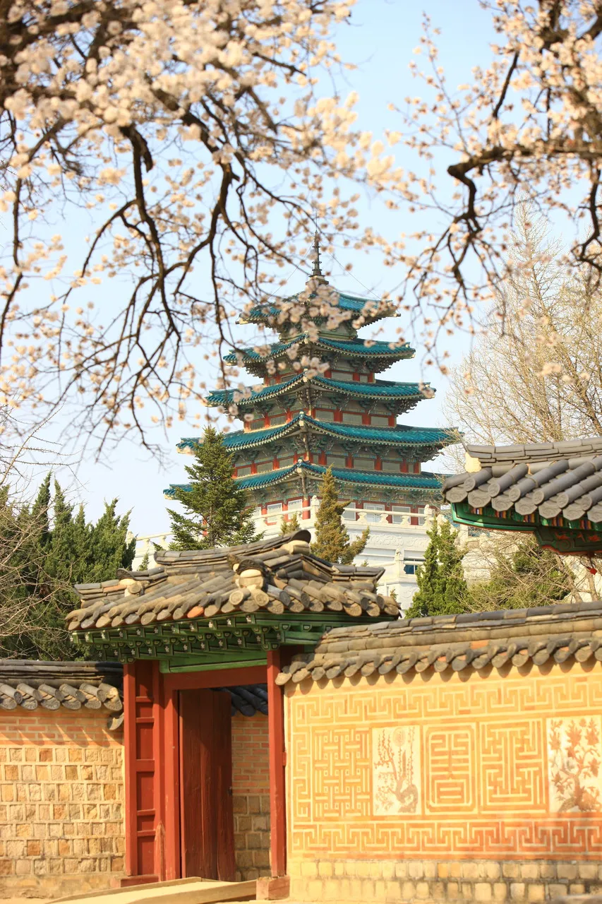 Flowering branches above a decorative brick wall and red gateway in Seoul, illustrating sightseeing budget planning