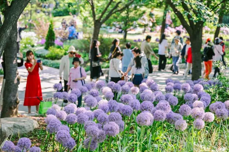 Garden display at Seoul International Garden Show for Summer Festivals in Korea 2026