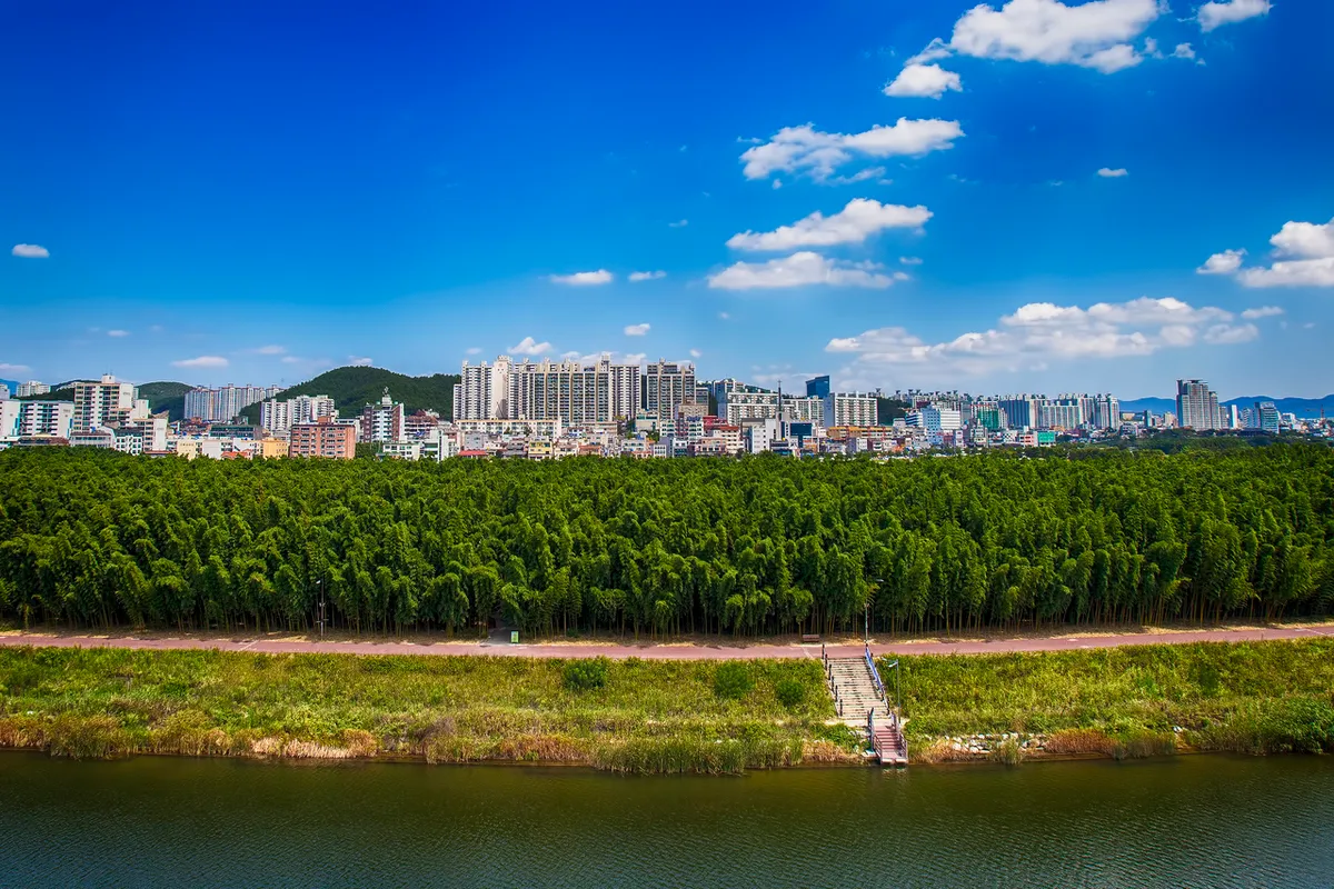 Taehwagang National Garden riverside landscape in Ulsan