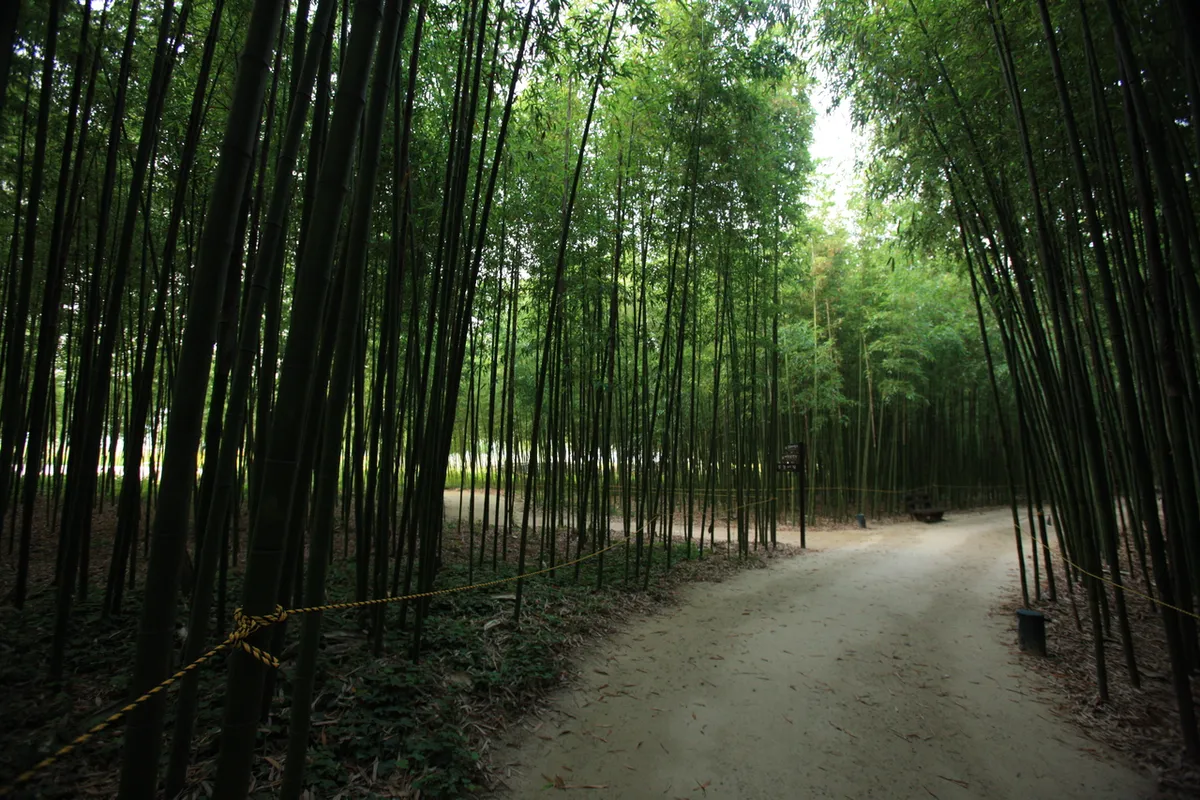 Garden path and planted riverside area at Taehwagang National Garden