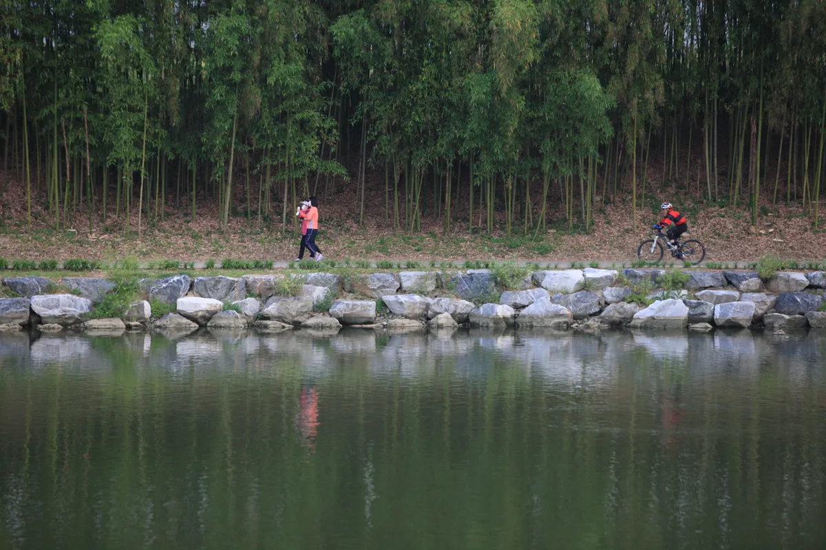 Riverside paths and planted areas at Taehwagang National Garden