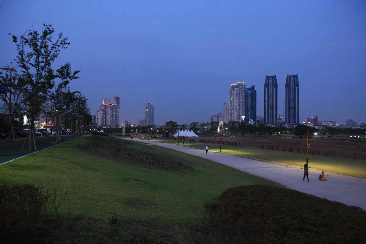 Evening view of paths and trees at Taehwagang National Garden
