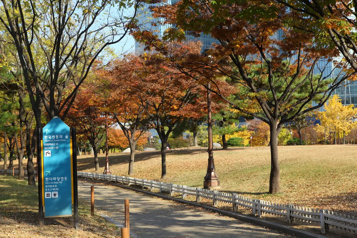 Autumn trees and walking path in Yeouido Park near The Hyundai Seoul shopping route