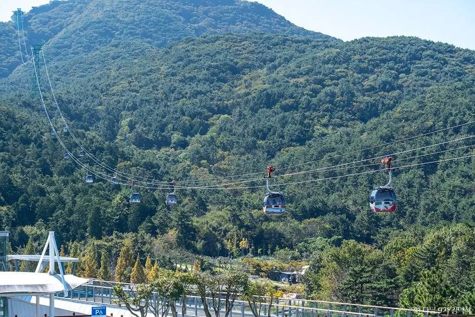 Tongyeong Cable Car gondolas crossing the forested slopes of Mireuksan Mountain