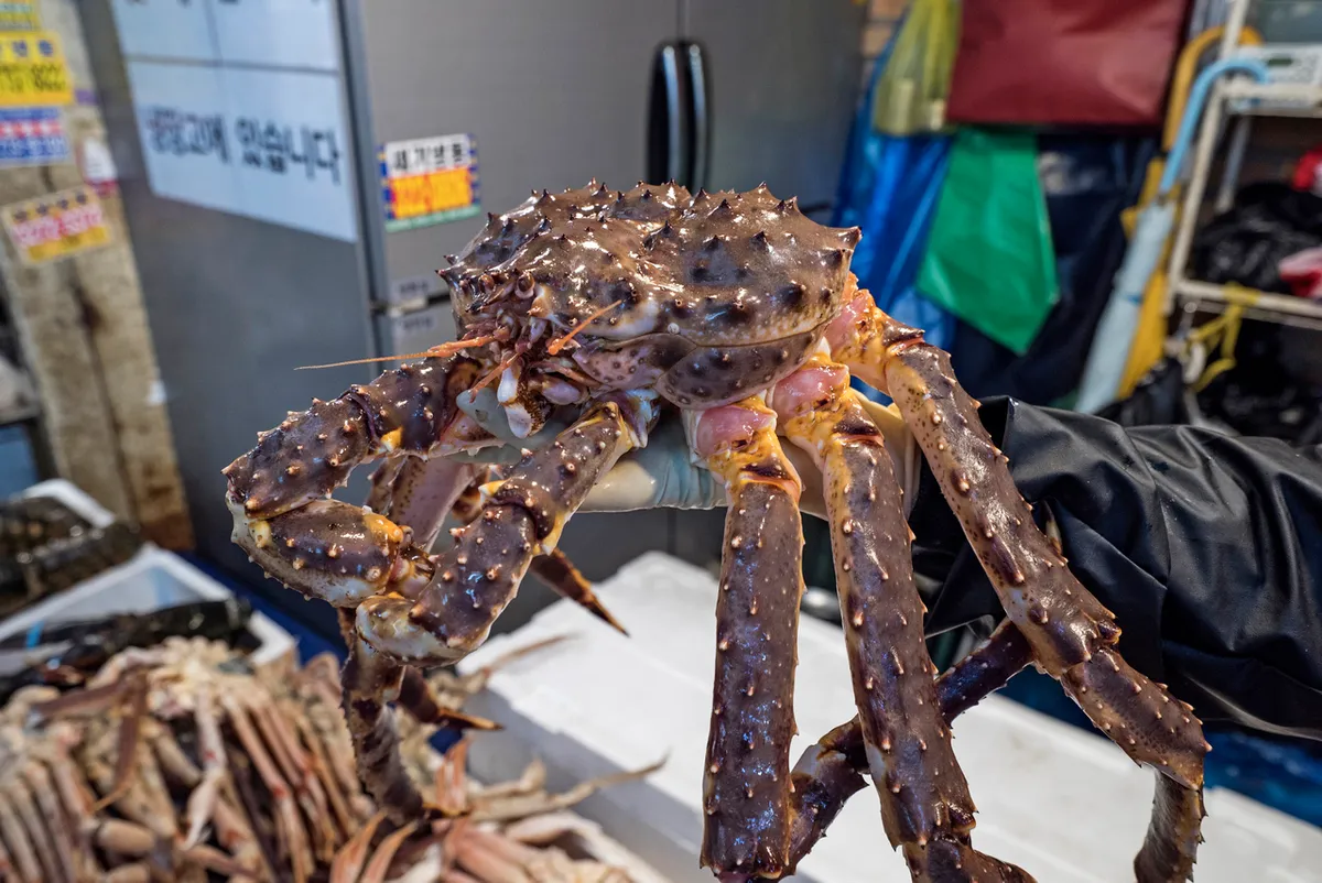 Seafood and dried goods displayed inside Mangwon Market in Seoul