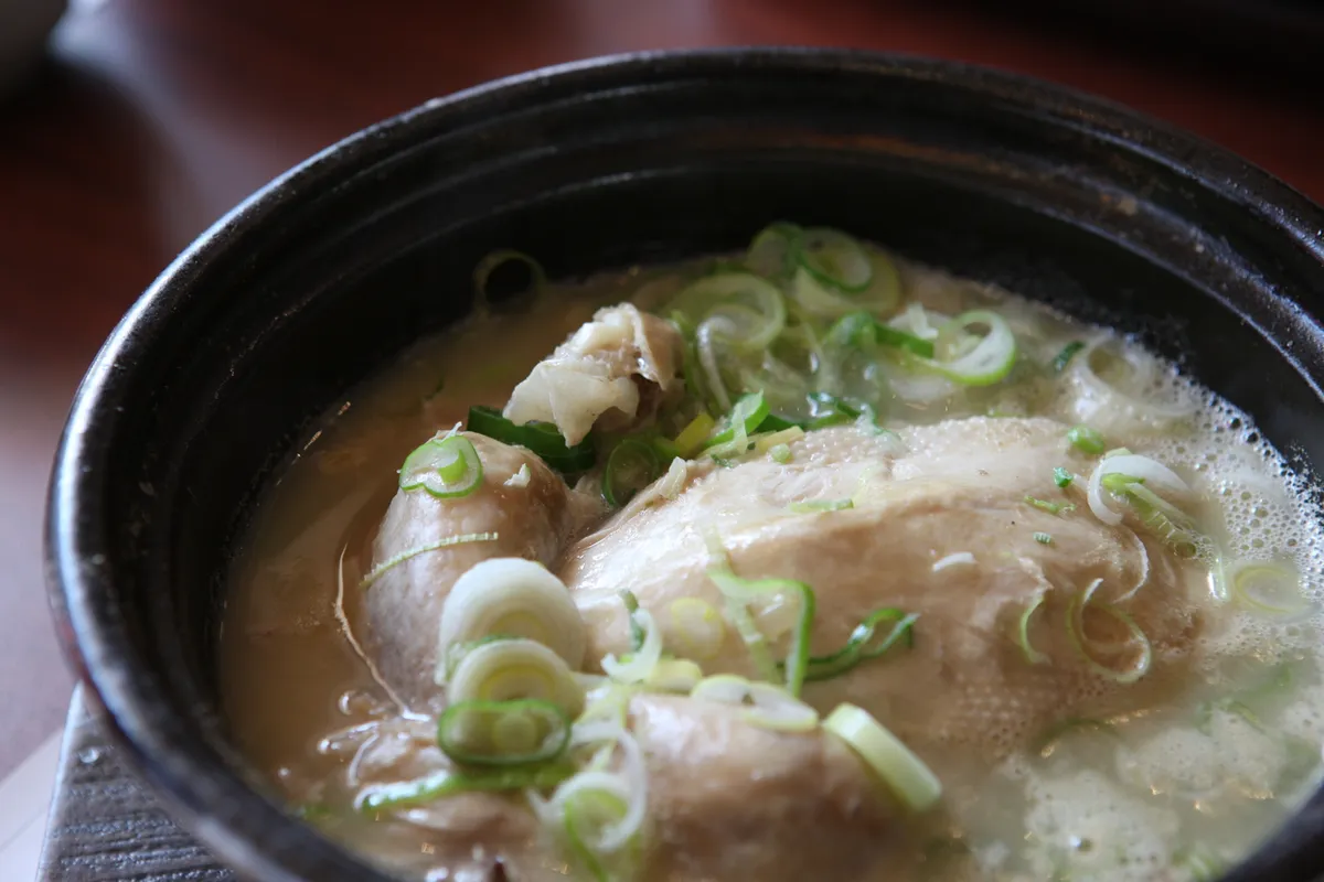 Samgyetang chicken ginseng soup with green onion for a Korean soup guide