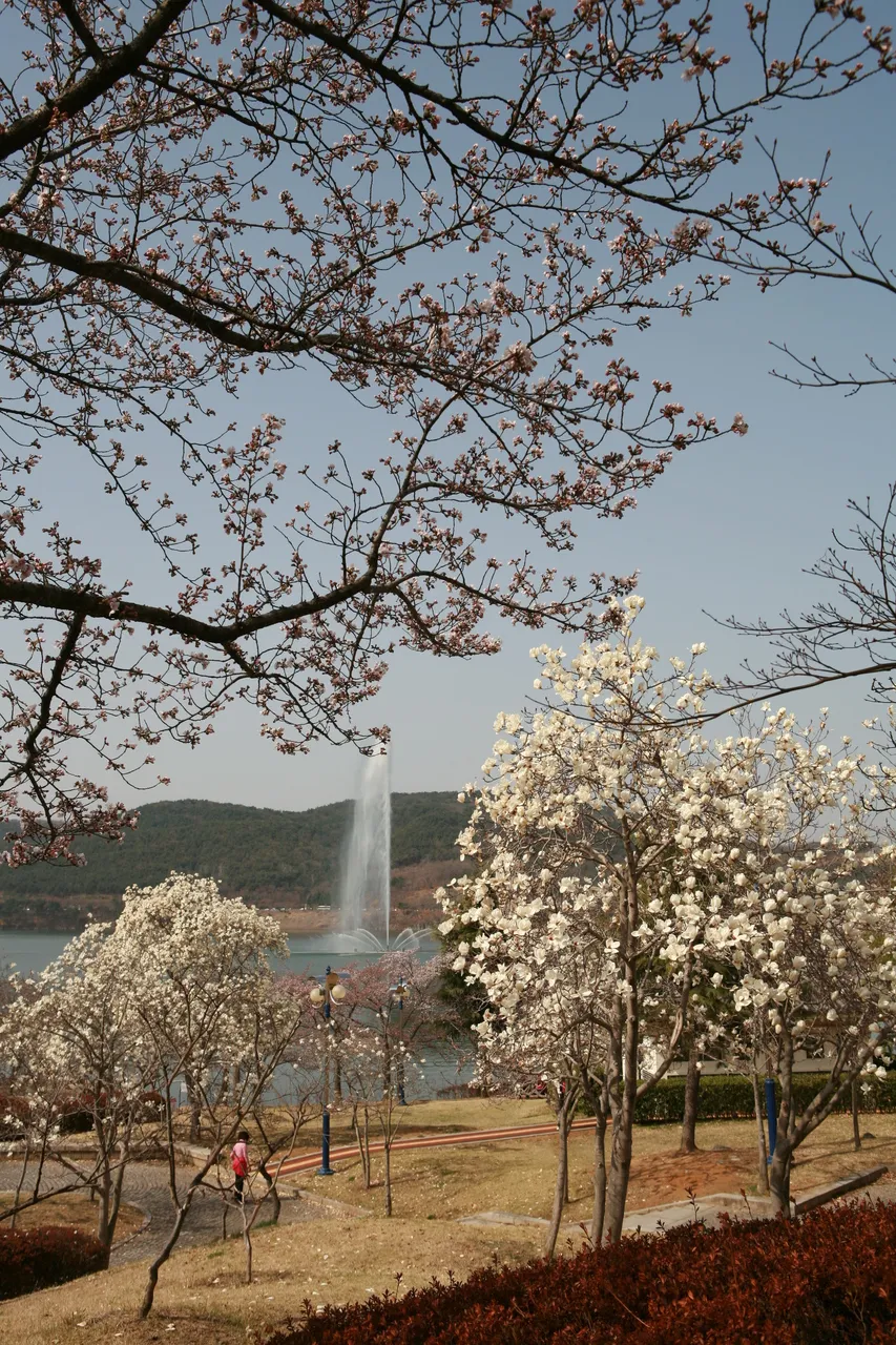 Bomun Lake area for where to stay in Gyeongju