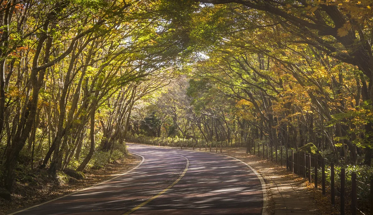 Where to Stay in Jeju: Jungmun, Seogwipo & Jeju City Hotels - 14