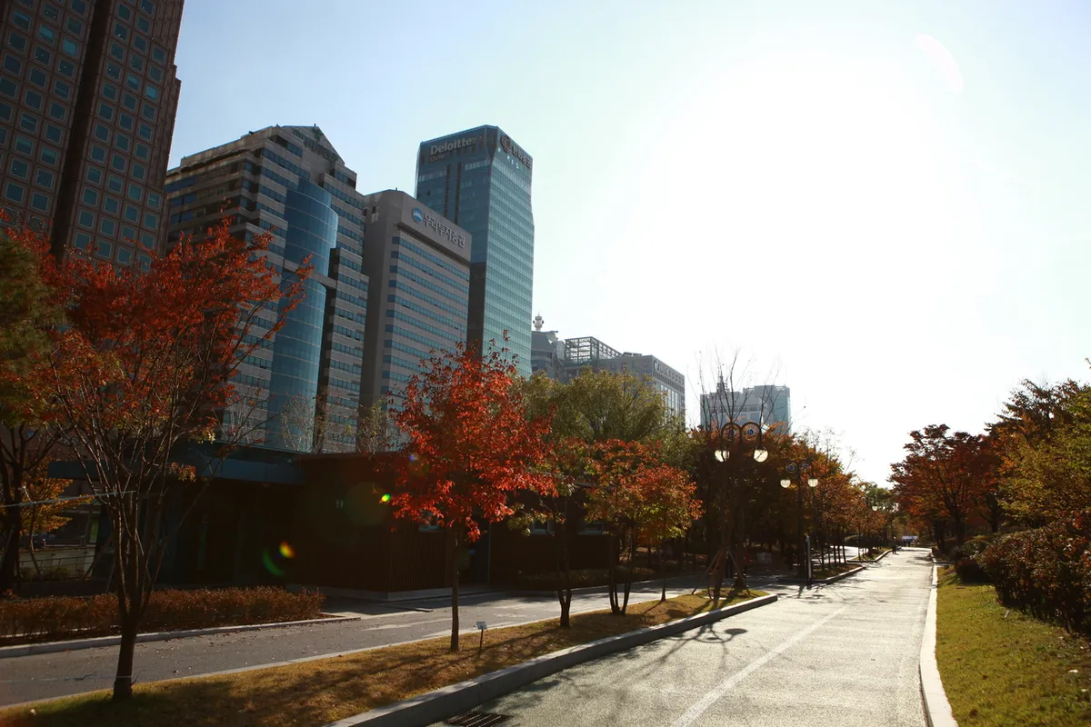 Tree-lined paved paths in Yeouido Park with autumn foliage and office towers behind them