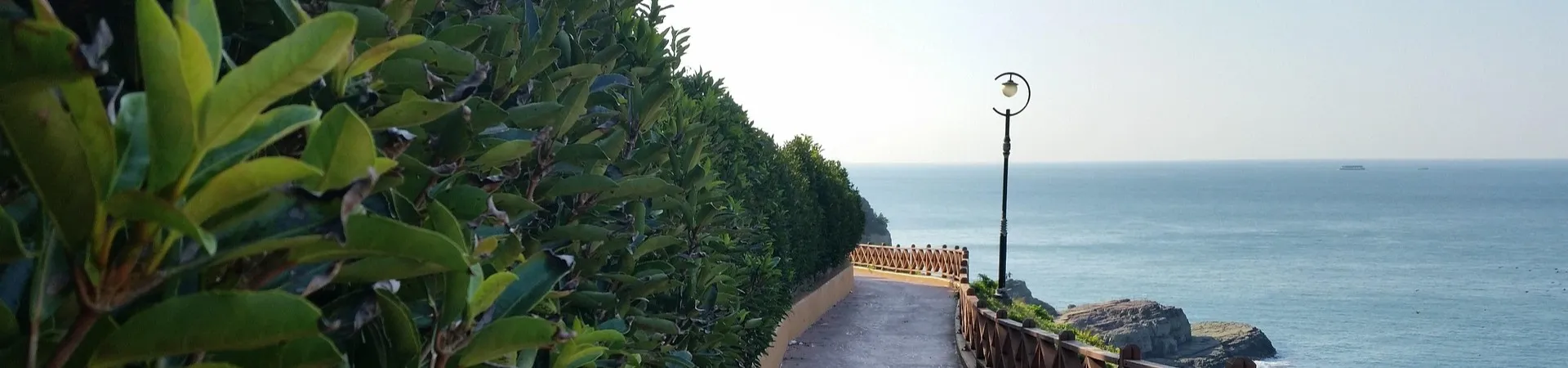 TripKorea - Best Hotels and Travel Guide in South Korea